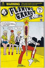 Load image into Gallery viewer, Flaming Carrot Comics (1984) 4,6-7, 9, 12-15, 20, 23, 25, 28-30, AV in 3-D 1, Mysterymen 2-4 MORE