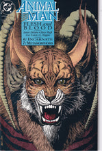 Load image into Gallery viewer, Animal Man (1988) 1-6 8-89 Complete Run Near Complete Series First Issue Last Issue KEY Issue VF/NM
