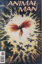Load image into Gallery viewer, Animal Man (1988) 1-6 8-89 Complete Run Near Complete Series First Issue Last Issue KEY Issue VF/NM