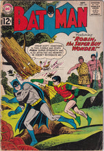 Load image into Gallery viewer, Batman (1940 1st Series) 1, 150-462 lot of 46