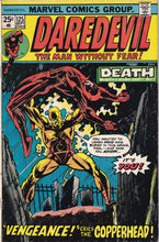 Load image into Gallery viewer, Daredevil (1964 1st Series) 1-321 lot of 78 131, 158, 168, 254 1st app Bullseye, Elektra, Typhoid Mary KEY Issue