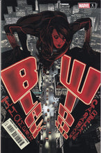 Load image into Gallery viewer, Black Widow (1999) 1 1st Yelena (2001) 1-3 (2020) 1 Walmart, 1 Jacinto, 1 Campbell, 2, 2 Campbell Variant, 2 Casagrande, 4-5 Adam Hughes 9, 13-14