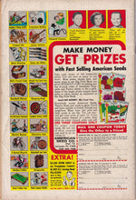 Load image into Gallery viewer, Doom Patrol (1964 1st Series) 90-91, 94, 96, 100-102, 106, 108, 110-120