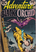 Load image into Gallery viewer, Adventure Comics (1938 1st Series) lot of 29 issues between 285-490