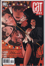 Load image into Gallery viewer, Catwoman (2002 3rd Series) 37, 39, 53-59 Adam Hughes
