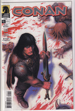 Load image into Gallery viewer, Conan (2004 Dark Horse) 0, 1, 15, 20, 22 Battle of the Black Stone (2024) 1 FCBD Cimmerian Beyond the Black River (2021 Ablaze) 2 1:20 Variant

