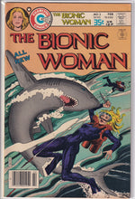Load image into Gallery viewer, Bionic Woman (1977 Charlton) 2, Bionic Man (2011 Dynamite) 2 1:25 Variant

