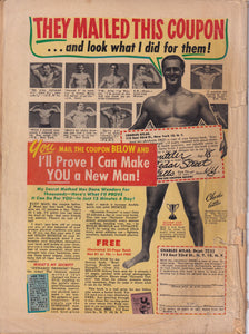 Airboy Comics (1945) Vol 8 4 Vol 10 4 Airboy (1986) 10, 14, 17 Valkyrie Sky Wolf