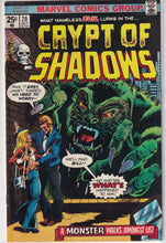 Load image into Gallery viewer, Crypt of Shadows (1973) 7, 20
