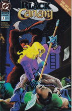 Load image into Gallery viewer, Black Canary (1993 2nd Series) 1-7 9-12 Wedding Planner (2007) 1
