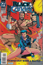 Load image into Gallery viewer, Black Canary (1993 2nd Series) 1-7 9-12 Wedding Planner (2007) 1
