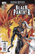 Load image into Gallery viewer, Black Panther (2009 Marvel 4th Series) 2, 2 2nd print, 4, 5 1st app Shuri as Black Panther, 6, 7, 9-12
