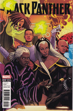 Load image into Gallery viewer, Black Panther (2016) 1, 1 1:10 Variant, 2 2nd Print, 3-11, 13-16 Variant,
