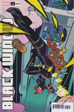 Load image into Gallery viewer, Black Widow (2020 Marvel) 1 Walmart, 1 Jacinto, 1 Campbell, 2, 2 Campbell Variant, 2 Casagrande, 4-5 Adam Hughes 9, 13-14
