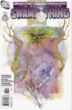 Load image into Gallery viewer, Brightest Day (2010) 1, 10, 24 Brightest Day Aftermath The Search for Swamp Thing (2011) 3 1:10 Variant
