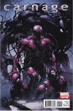 Load image into Gallery viewer, Carnage (2010) 1-3, 5 (2022) 2
