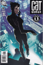 Load image into Gallery viewer, Catwoman (2002 3rd Series) 37, 39, 53-59 Adam Hughes
