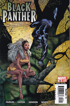 Load image into Gallery viewer, Black Panther (2005 Marvel 3rd Series) 1, 2 1st app Shuri, 3-41, annual 1 complete series Full Run
