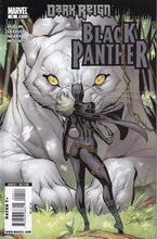 Load image into Gallery viewer, Black Panther (2009 Marvel 4th Series) 4 Shuri J. SCOTT CAMPBELL Man Without Fear (2010) 513
