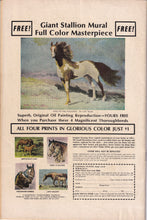 Load image into Gallery viewer, Fightin' Army (1956) 86, 90, 98, 113
