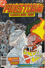 Load image into Gallery viewer, Firestorm (1978 1st Series) 1 1st app KEY Issue, 2, 3, 4
