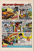 Load image into Gallery viewer, Firestorm (1978 1st Series) 1 1st app KEY Issue, 2, 3, 4

