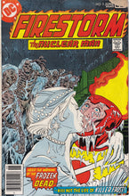 Load image into Gallery viewer, Firestorm (1978 1st Series) 3 1st app Killer Frost KEY Issue, 4
