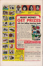 Load image into Gallery viewer, Freedom Fighters (1976 DC) 2, 3
