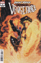 Load image into Gallery viewer, Ghost Rider Return of Vengeance (2019 Marvel) 1 Philip Tan Variant, 1 Javier Saltares Knullified Variant
