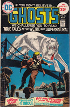 Load image into Gallery viewer, Ghosts (1971-1982 DC) 27, 36, 106
