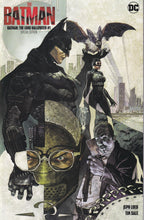 Load image into Gallery viewer, Batman the Long Halloween Special (2021 DC) 1 IMAX Special Edition (2022) 1

