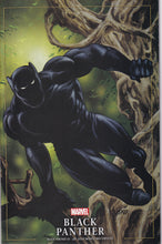 Load image into Gallery viewer, Black Panther (2021) 1 Walmart 3-5 Jusko Variant 1st app Tosin, 5 2nd
