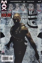 Load image into Gallery viewer, Blade (2002) 1 (2006) 12 last issue Undead by Daylight (2015) 1 reprints Tomb Dracula 10, 24, 58
