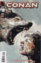 Load image into Gallery viewer, Conan (2004 Dark Horse) 0, 1, 15, 20, 22 Battle of the Black Stone (2024) 1 FCBD Cimmerian Beyond the Black River (2021 Ablaze) 2 1:20 Variant
