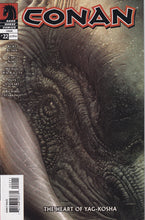Load image into Gallery viewer, Conan (2004 Dark Horse) 0, 1, 15, 20, 22 Battle of the Black Stone (2024) 1 FCBD Cimmerian Beyond the Black River (2021 Ablaze) 2 1:20 Variant
