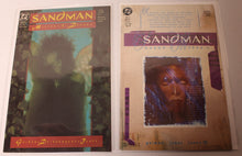 Load image into Gallery viewer, Sandman (1989 2nd Series) 8 1st appearance Death, 22 1st Daniel &amp; Mazikeen KEY Issue
