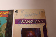 Load image into Gallery viewer, Sandman (1989 2nd Series) 8 1st appearance Death, 22 1st Daniel &amp; Mazikeen KEY Issue
